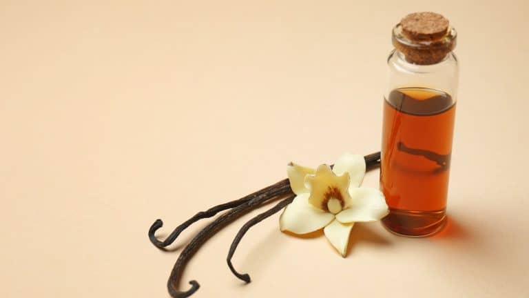 10 Vanilla Extract Substitute Suggestions